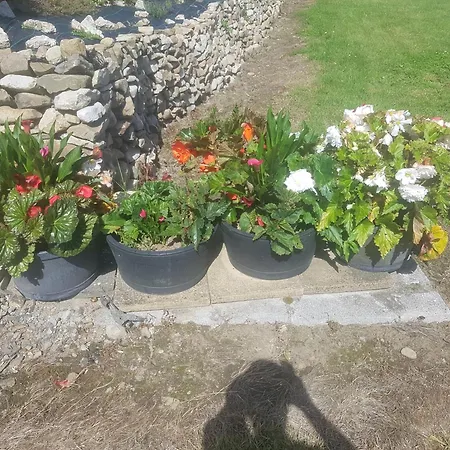 Hébergement de vacances Tiny Living On The Wild Atlantic Way Tralee